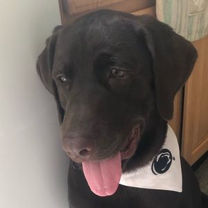 Meet your Posher, Todd